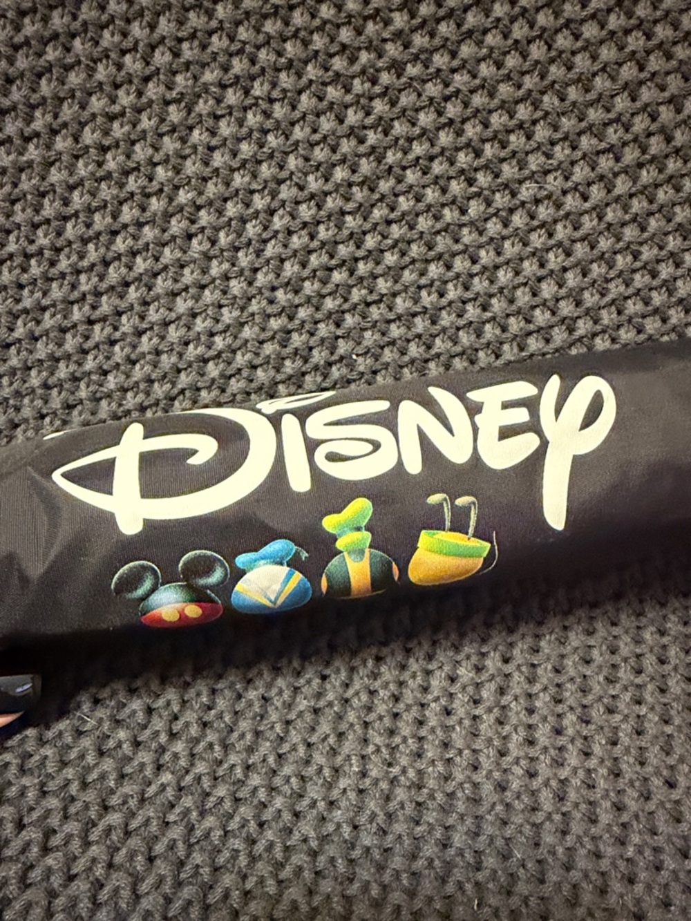 Disney Black Umbrella ☂️